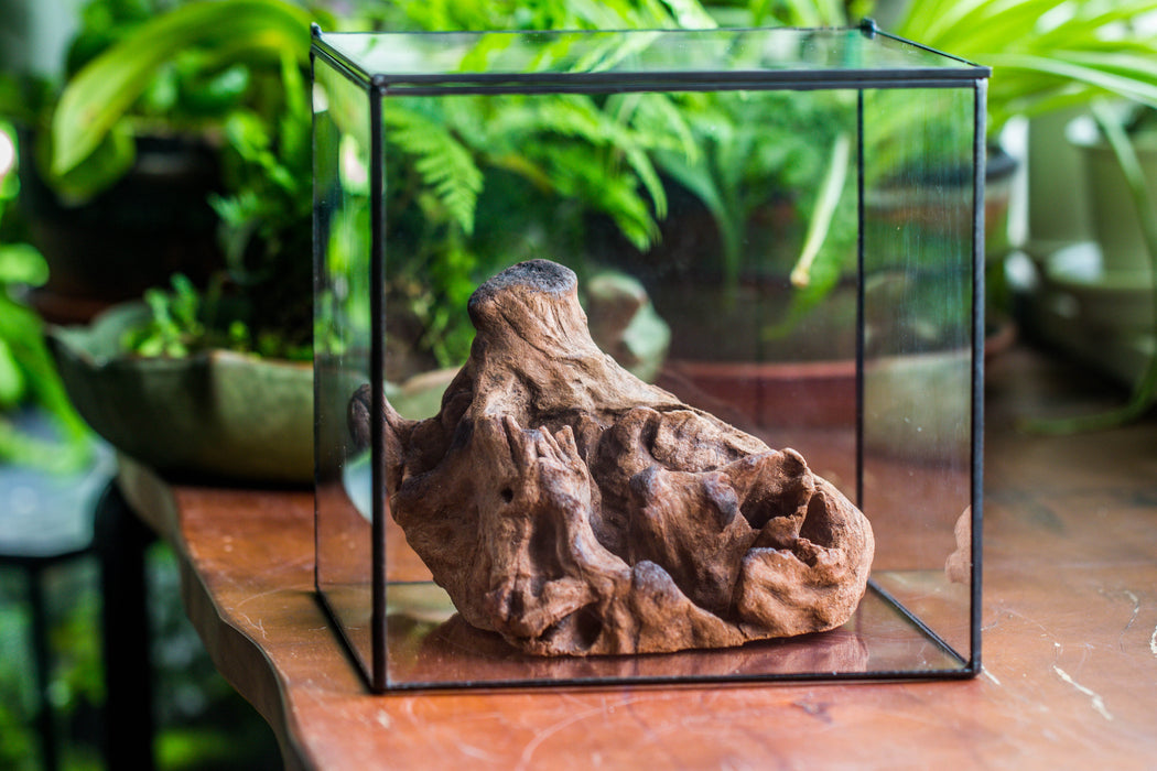 Natural driftwood for moss terrarium, miniature, micro landscape, unique  10-31, suitable for both live and preserved moss